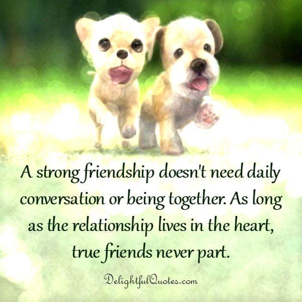 A strong friendship doesn't need daily conversation