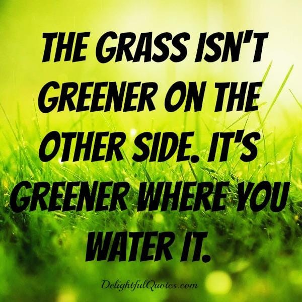 The grass isn't greener on the other side