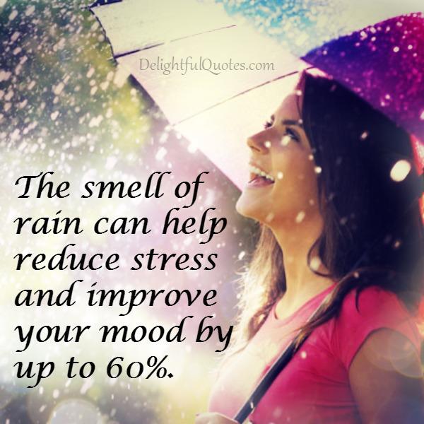 The smell of rain can help reduce stress