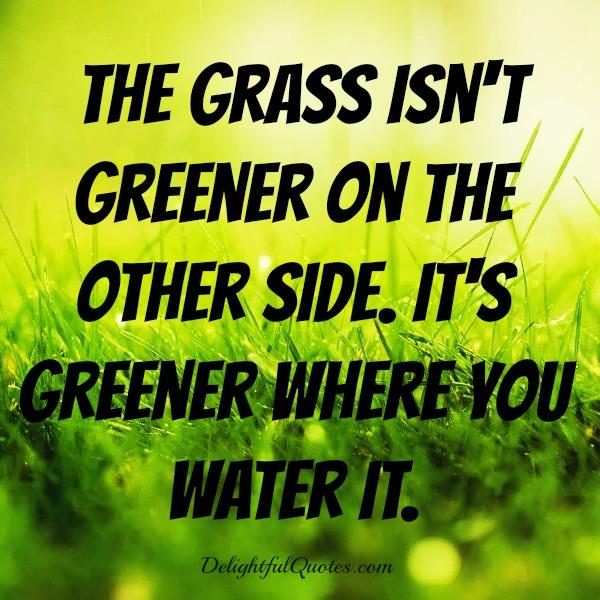 The grass isn’t greener on the other side